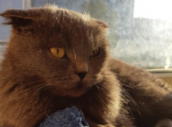 Так жарко было в 1995 году: прогноз погоды на 30 января 