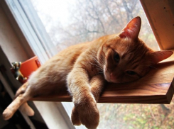  В выходной погода порадует жителей Кубани теплом 