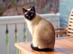 В Краснодаре 7 июля небольшой дождь