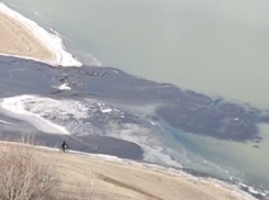 В Краснодаре слив канализации в реку Кубань оказался не опасным