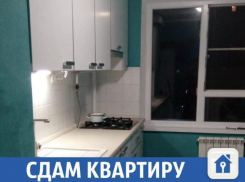 Сдается уютная квартира на КМР