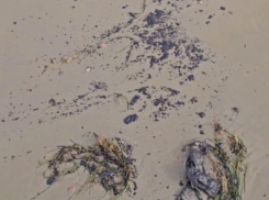 «Картина нереально жуткая»: блогер показал новые выбросы мазута на Кубани