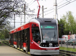 За день «Витязь» зарабатывает на 20 тысяч рублей больше обычного трамвая