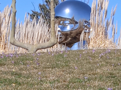 Актуальный Краснодар 17 марта: праздновать нечего, вспоминаем СССР, цены на подгузники и не ходим к стоматологам 