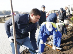 Первышов вместе с краснодарцами высадил деревья на новой аллее