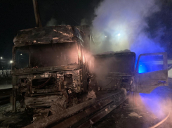 Краснодарский дальнобойщик погиб в ДТП с фурами в Воронежской области 