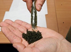 В аэропорту Краснодара таможенники изъяли 222 килограмм насвая 