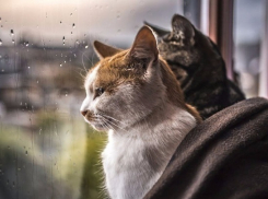 Непогода продолжает «терроризировать» Кубань