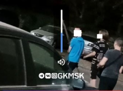 В Краснодаре подростки собирают мусор из мусорных баков и закидывают в открытые окна квартир