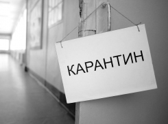 На Кубани ввели карантинный режим в четырех муниципалитетах