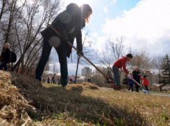  Около 100 тысяч человек выйдет на общегородской субботник в Краснодаре 