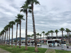 «Теперь я заложник дома» - сочинцы возмущены подорожавшим проездом в маршрутках