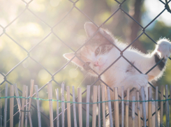 К вечеру в Краснодаре обещают ясное небо