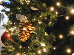 Возвращение тёплой зимы: в Краснодаре +11 