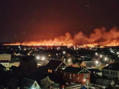  Вокруг Темрюка произошел сильный пожар на плавнях 