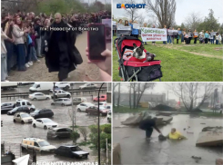Пикет зоозащитников, коллапс из-за дождя и приезд экстрасенсов: самые обсуждаемые новости Кубани за неделю 