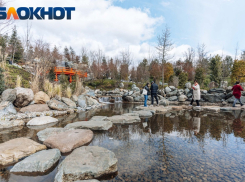 Весеннее тепло ворвётся в Краснодар в конце января