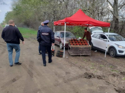 Краснодарцев предостерегают от опасных покупок на стихийных рынках 