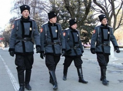 На Кубани предложили создать казачью милицию 