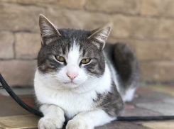 Похолодание перед потеплением придёт в Краснодарский край