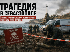 Четверо пиротехников МЧС и охранник погибли при разминировании боеприпасов ВСУ в Севастополе 
