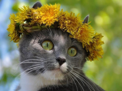 Пришла жара: температура воздуха в Краснодаре перевалила за 20 градусов