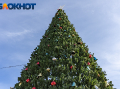 Краснодарский край: солнце, море и… морозы