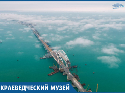 «Понаплыли» из Сахалина моллюски в Краснодарский край