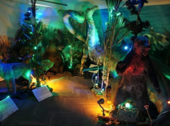  В Краснодаре покажут ящеров, живших миллионы лет назад 