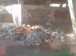 Жалоба женщины помогла очистить площадку возле школы от мусора в Краснодаре