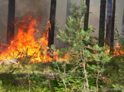 На Кубани объявлен высший класс пожароопасности