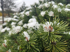 Снегодождь и ураганный ветер обрушатся на Краснодарский край