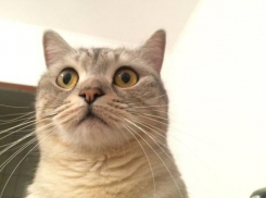 До -2 градусов опустится температура воздуха на Кубани 