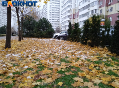 Сильный ветер с дождем и мокрым снегом обрушится на Краснодар 8 декабря