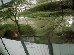 Неизвестный измазал окна кровью в Краснодарском крае