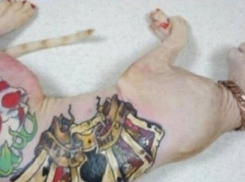 Кубанская прокуратура начала проверку по факту «издевательства» над котом