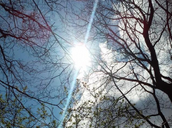 На Кубани солнечно и малооблачно, местами усилится ветер