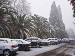 «Весна, что ты делаешь? Прекрати!» сочинцев удивил внезапно выпавший снег