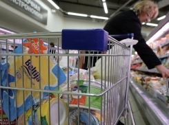 На Кубани 50% алкоголя и молочной продукции оказались поддельными