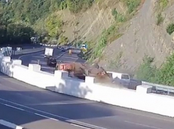 Стали известны обстоятельства страшной аварии с погрузчиком в Сочи