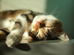 На Кубань возвращается теплая и ясная погода