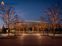 Важное в Краснодаре 26 января: поздравляем таможенников, веселимся на работе,  не обижаем кошек