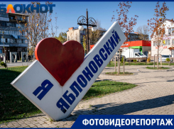 Дворцы у мечети с видом на кладбище и горы мусора: как живется в посёлке Яблоновский 