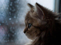 Кратковременные дожди с грозами прогнозируют синоптики Кубани