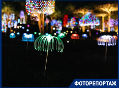 Ангелы, кролики и шары: новогодняя иллюминация превратила парк Галицкого в сказочную локацию