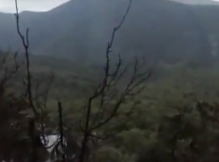 Пожар, вспыхнувший из-за падения вертолета, в заповеднике под Анапой потушили на следующий день