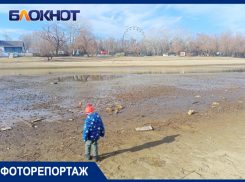 В Краснодаре на Затоне пересохла река Кубань: фото и видео