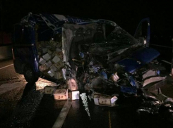 Пристегнутый ремень спас водителя в ночном ДТП на Кубани