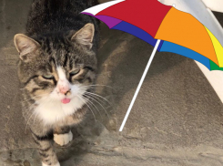 Дождем с грозой и низкой температурой завершится рабочая неделя на Кубани 