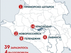  В администрации Кубани показали, откуда в регионе взялись заболевшие коронавирусом 